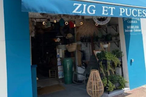 Zig et Puces